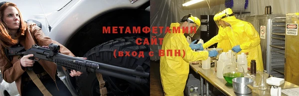 сатива Кукмор