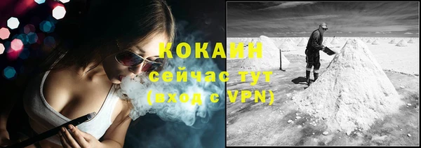сатива Кукмор