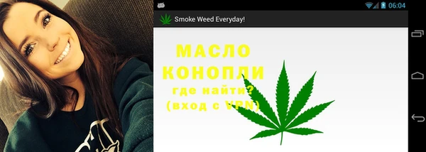 сатива Кукмор