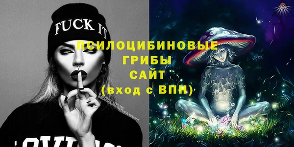 сатива Кукмор