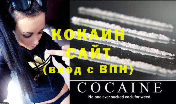 сатива Кукмор