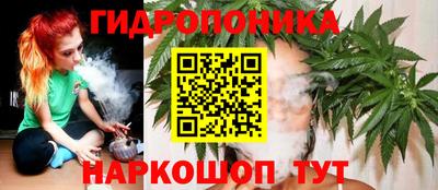 соль ск Обнинск