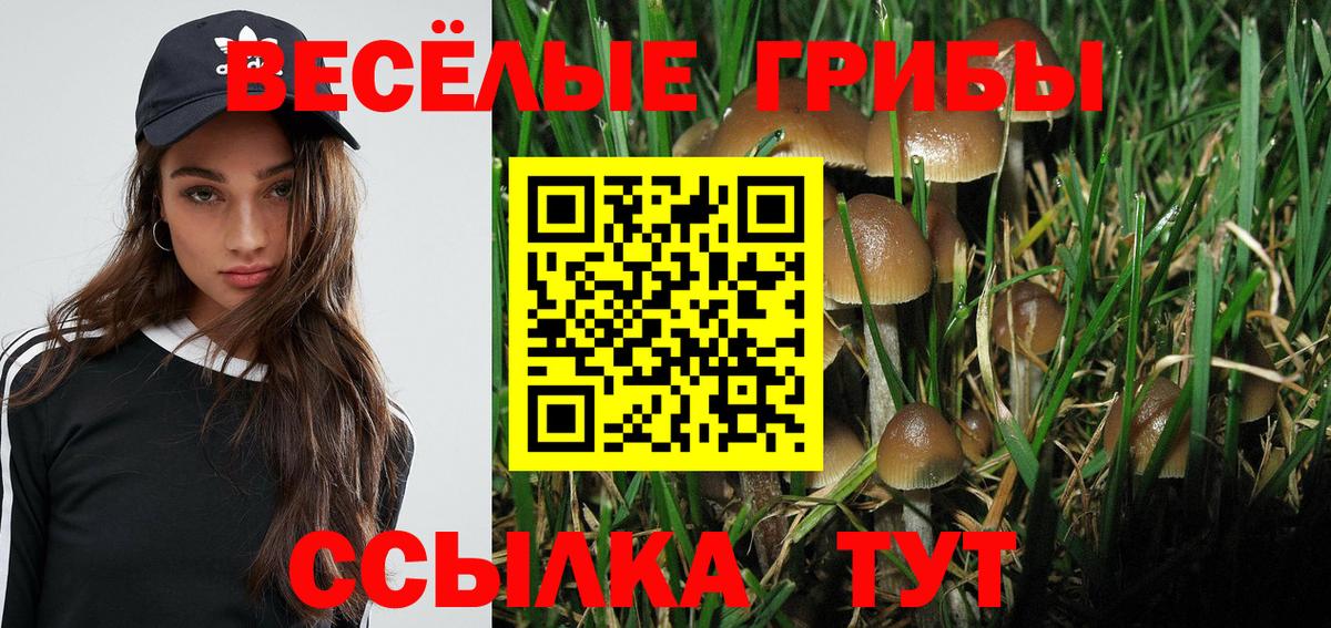 Галлюциногенные грибы прущие грибы Ноябрьск